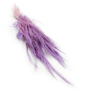 Herbe Agrostis Séchée – Lilas