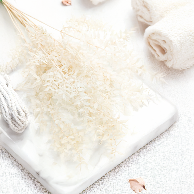 Ruskus Bielony Stabilizowany.png