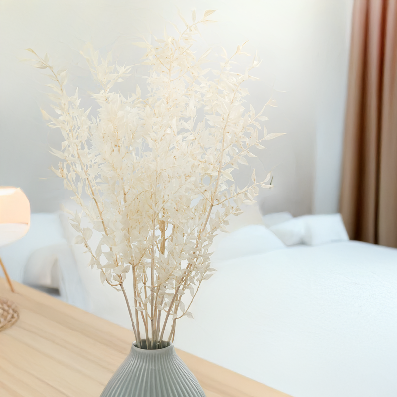 Ruskus Bielony Stabilizowany 3.png