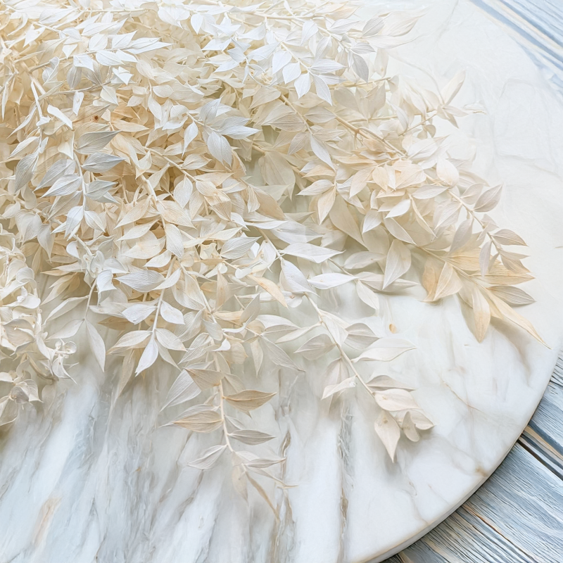 Ruskus suszony bielony 2.png