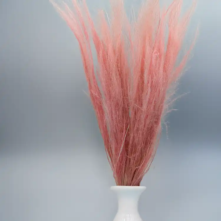 Agrostis jasnoróżowy 3.png
