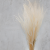 Ouro 4.png