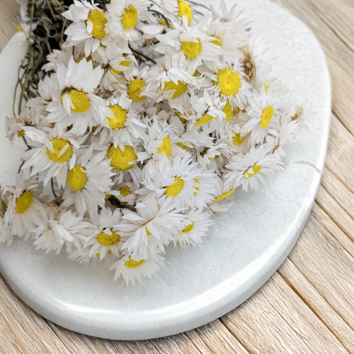 Acroclinium BIALE 50G PLS 2.png