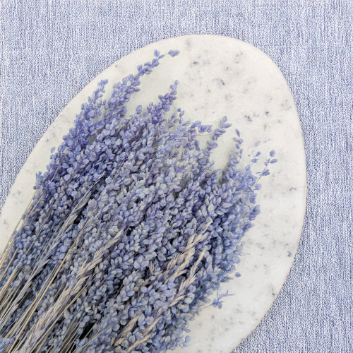 Briza minima lawendowa 2.png