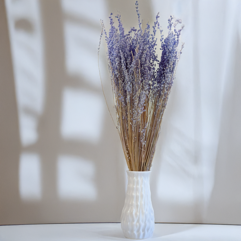 Briza minima lawendowa 3.png