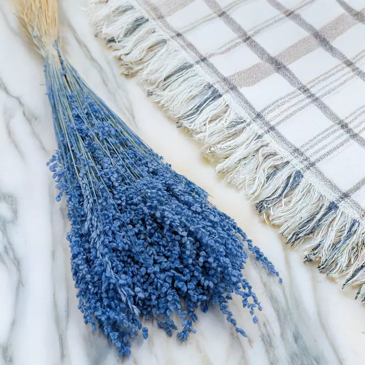 Briza minima niebieska 1.png