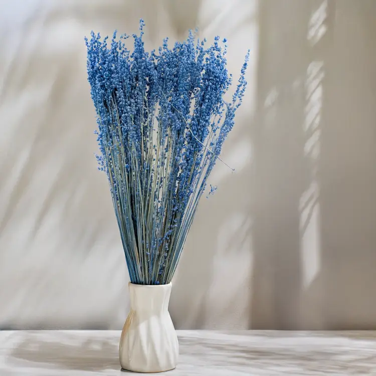 Briza minima niebieska 3.png