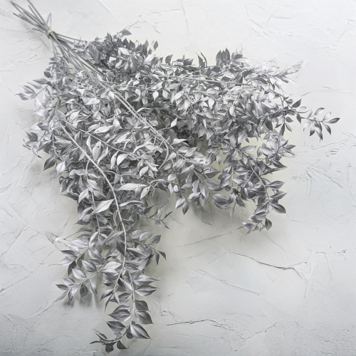 Ruskus suszony srebrny.png