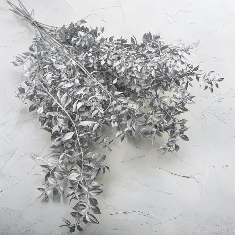 Ruskus suszony srebrny.png