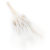 Pszenzyto EXTRA bielone.png