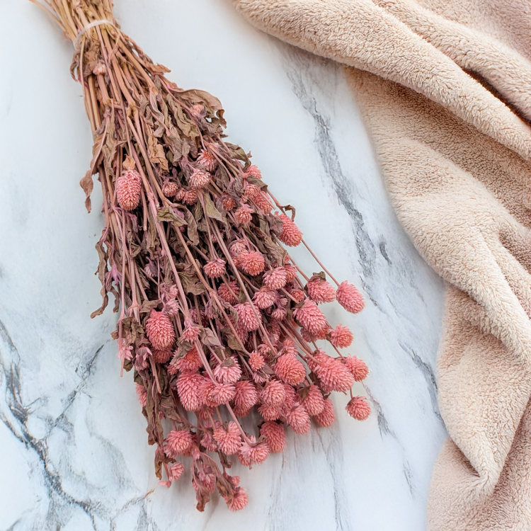 Gomfrena różowa SZ 3.png