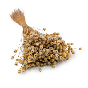 Jazilda Séchée – Naturel