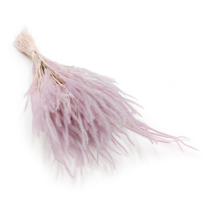 Ouro Stabilisé – Bruyère