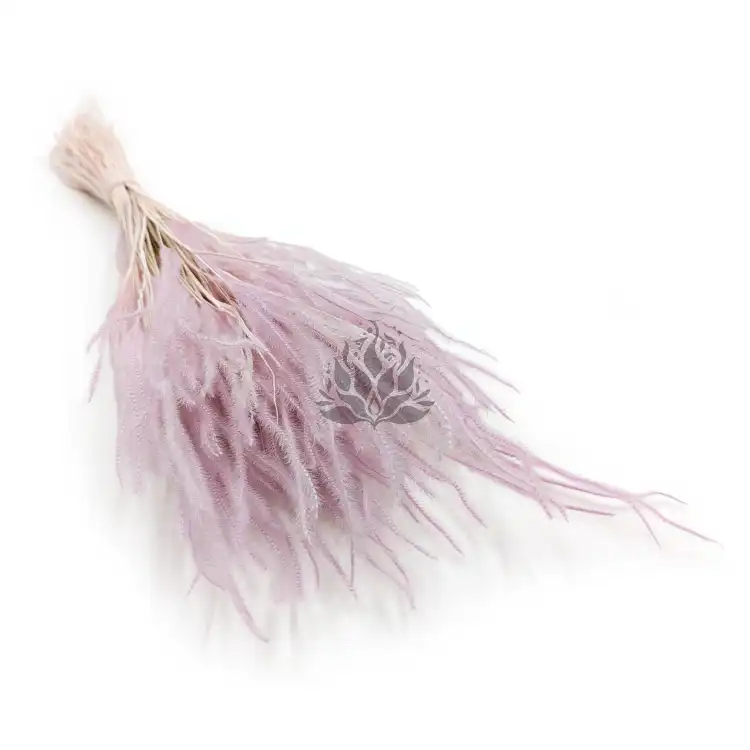 Ouro Wrzosowe.png