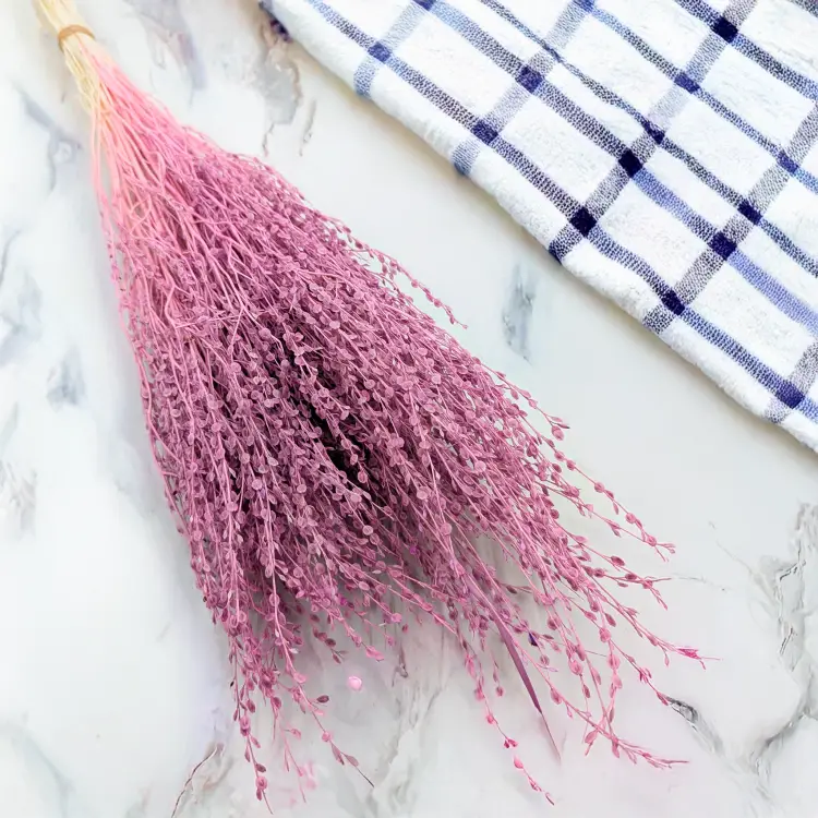 Lepidium wrzosowe 3.png