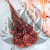 Oxodia - Łosiowa IT 2.png