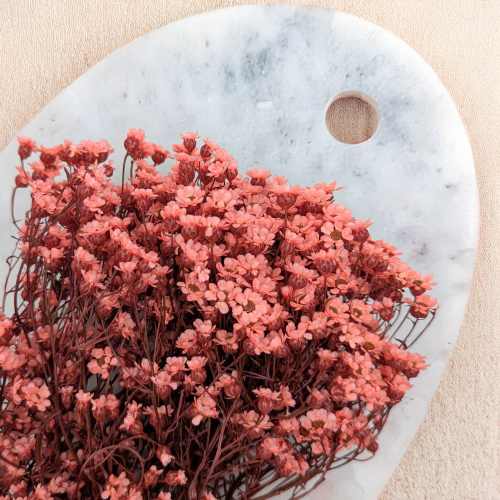 Oxodia - Łosiowa IT 3.png