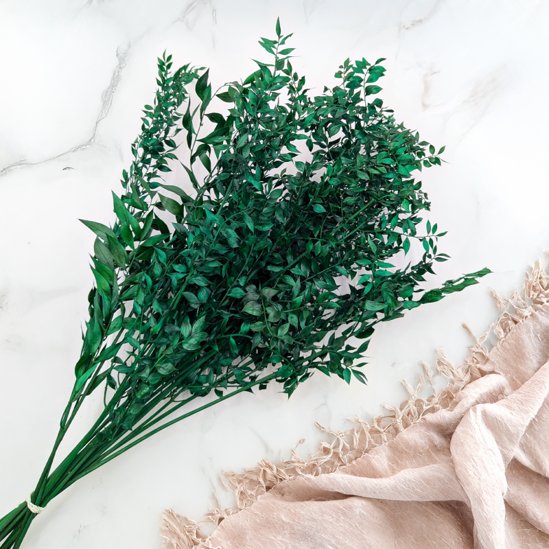 Ruskus suszony Zielony IT 4.png