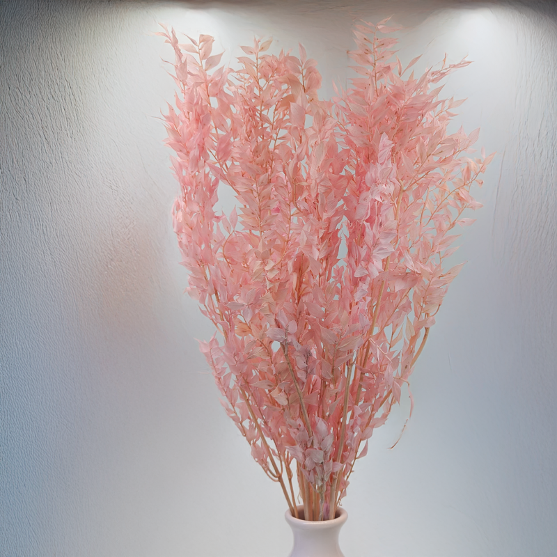 Ruskus pudrowy róż ES 4.png