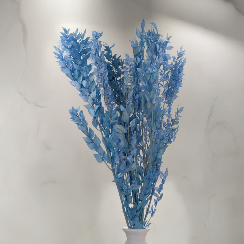 Ruskus Stalowy błękit 4.png