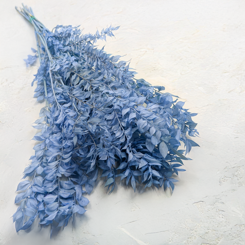 Ruskus Stalowy błękit 1.png