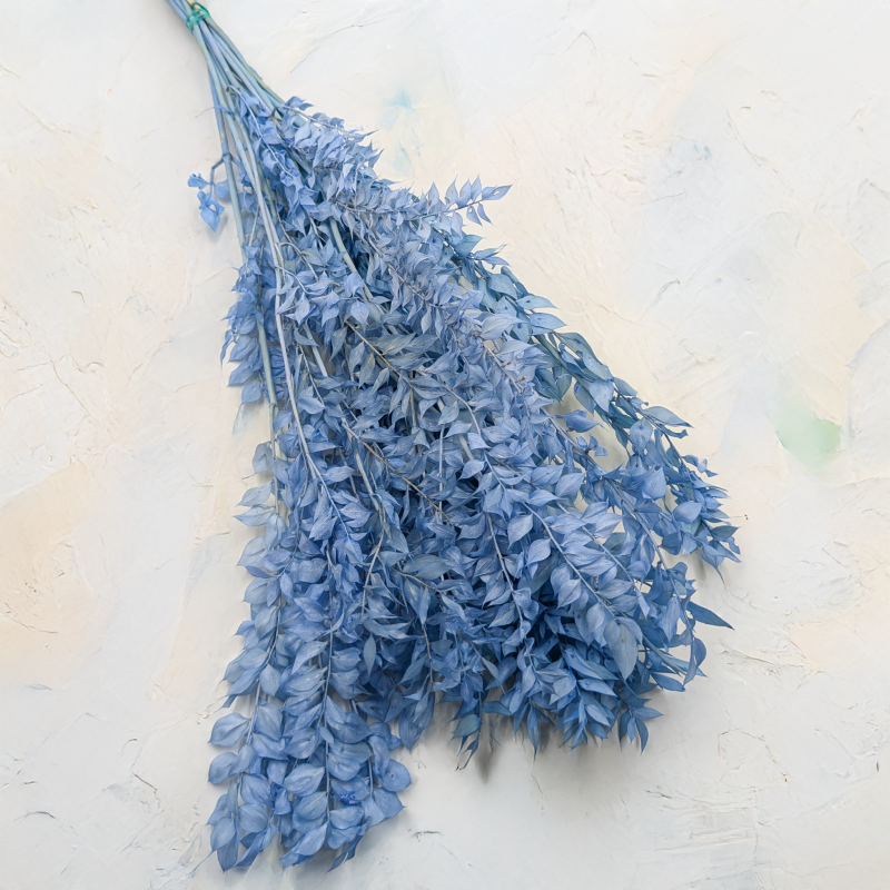 Ruskus Stalowy błękit 2.png