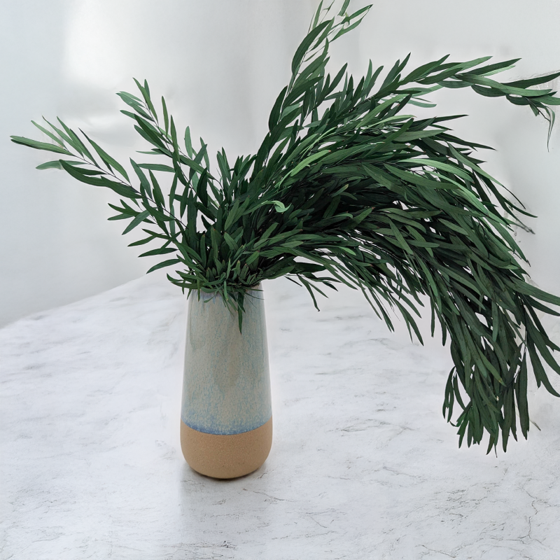 Nicoly Zielony LC 3.png