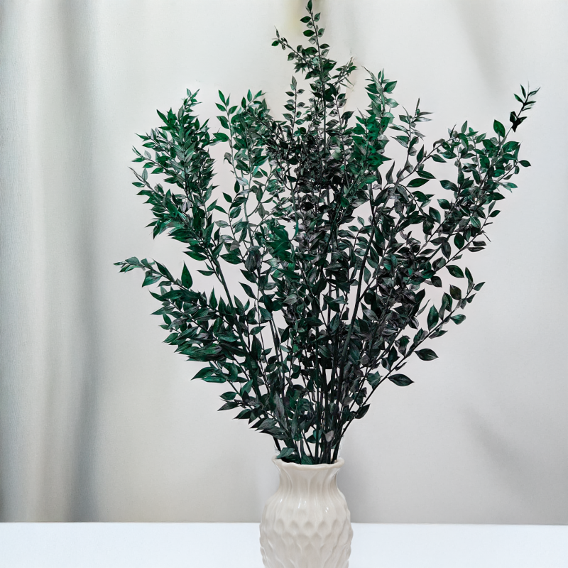 Ruskus stabilizowany zielony IT 4.png