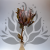 Protea King 3szt 4.png