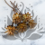 Plumosum Cream 5szt 1.png