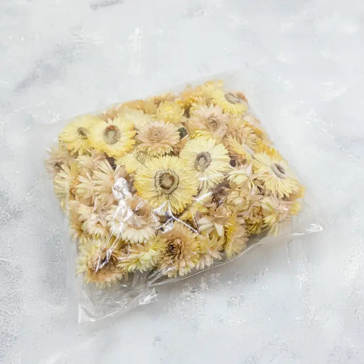 Kocanki głowki jasny zółty 3.png