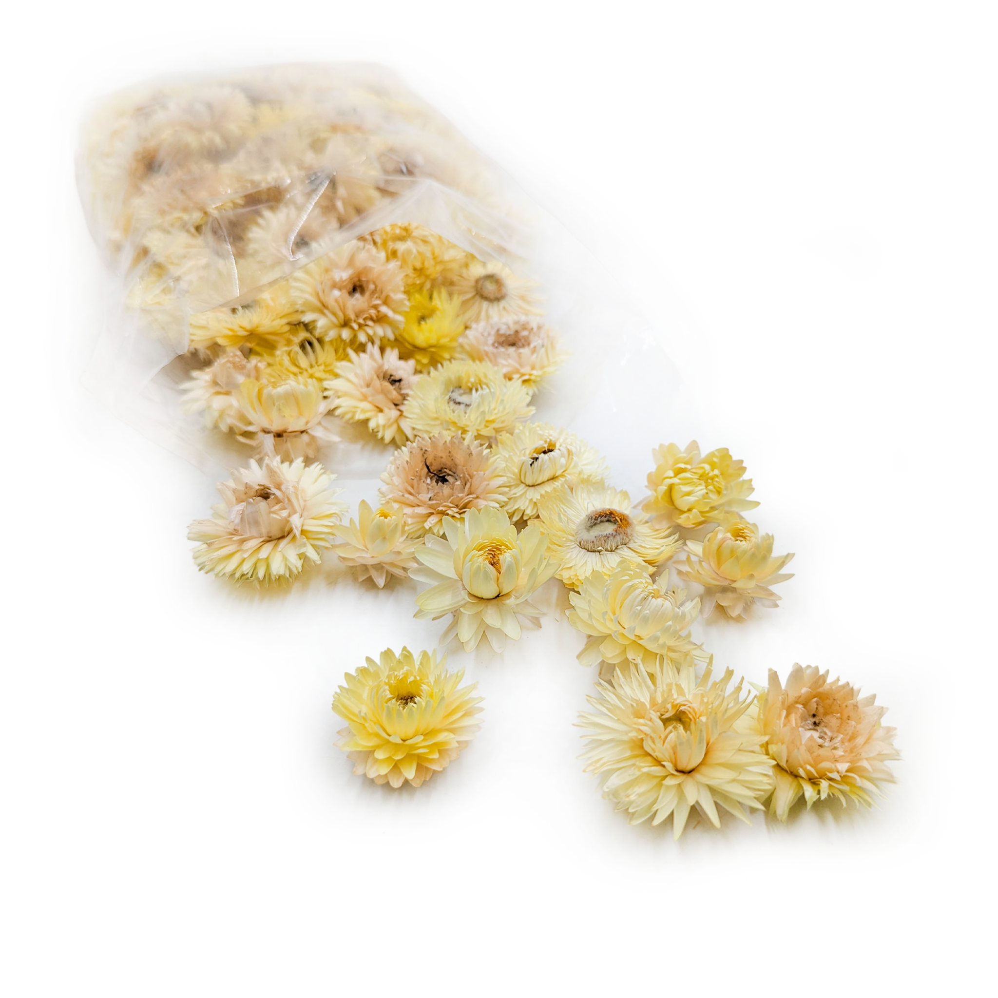 Immortelle séchée – Têtes – (Helichrysum) – Citron