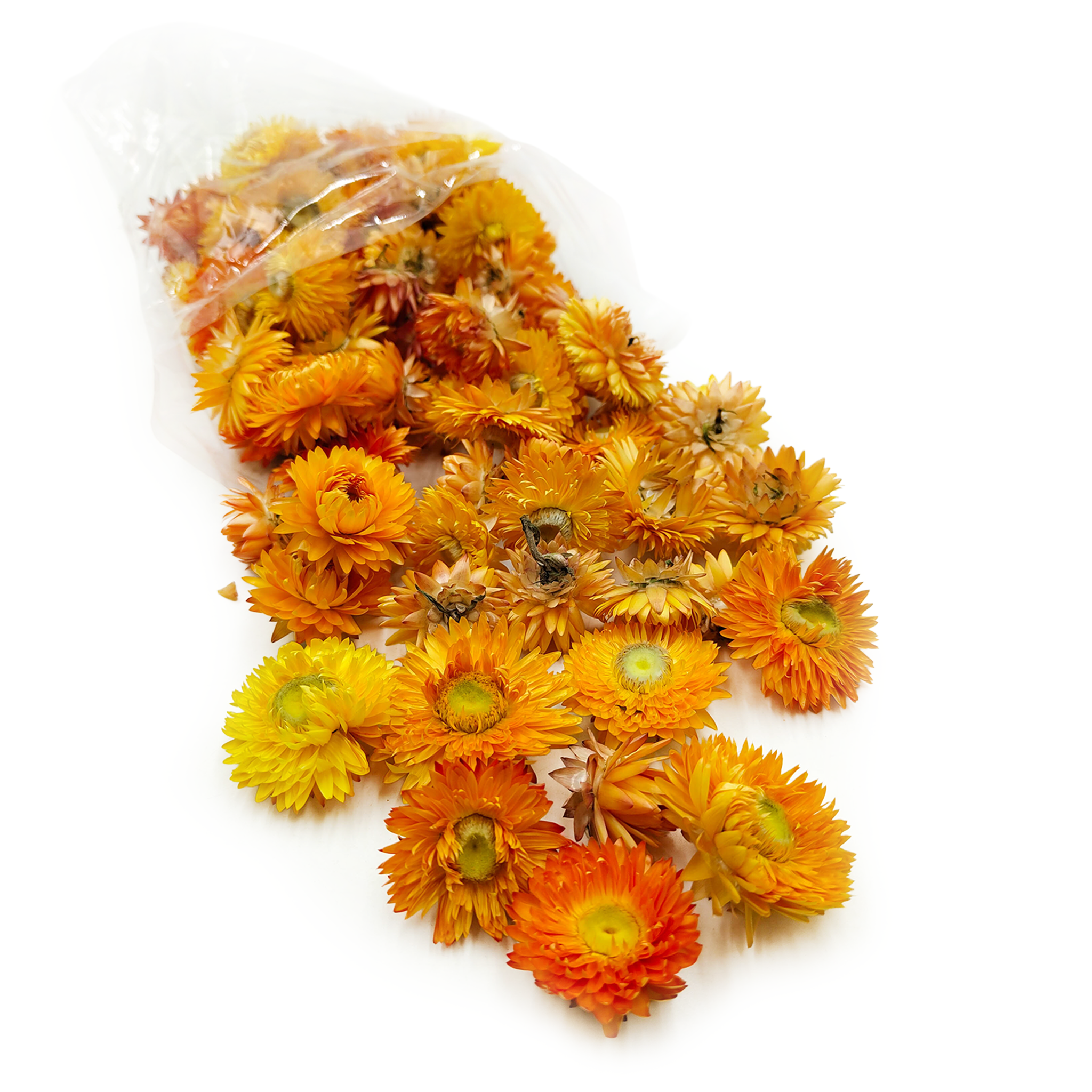 Immortelle séchée – Têtes – (Helichrysum) – Orange