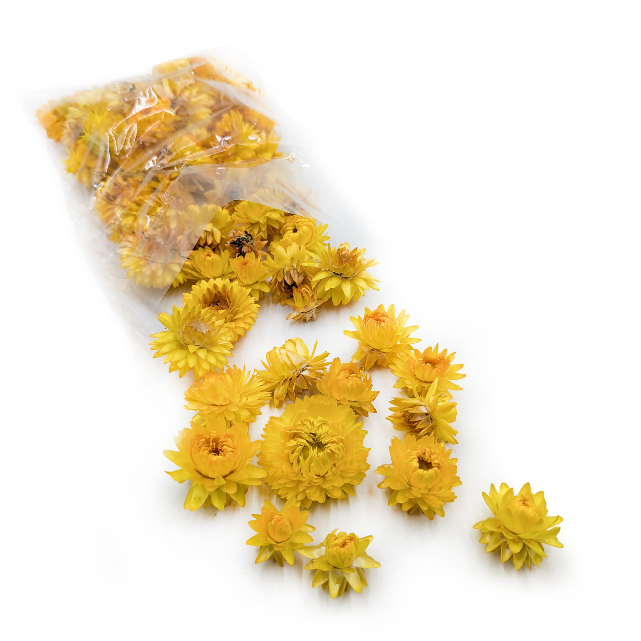 Immortelle séchée – Têtes de fleurs – (Helichrysum) – Jaune