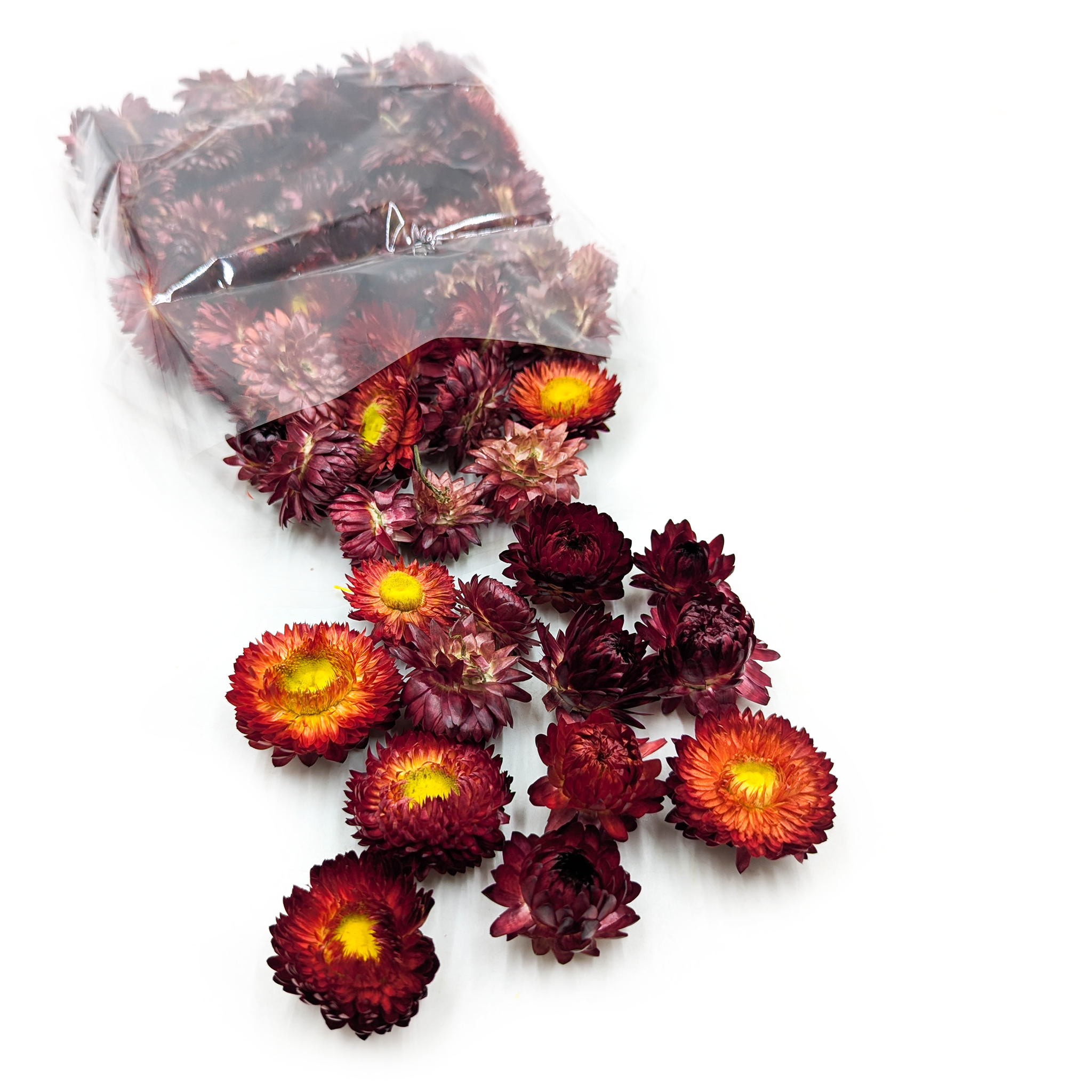 Immortelle séchée – Têtes de fleurs – (Helichrysum) – Écarlate