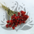 Gomfrena b pomaranczowa SZ 1.png