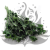 Nigella orientalis butelkowa zieleń IT.png