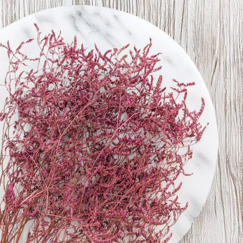 Statice Marine Vintge Pink 2.png