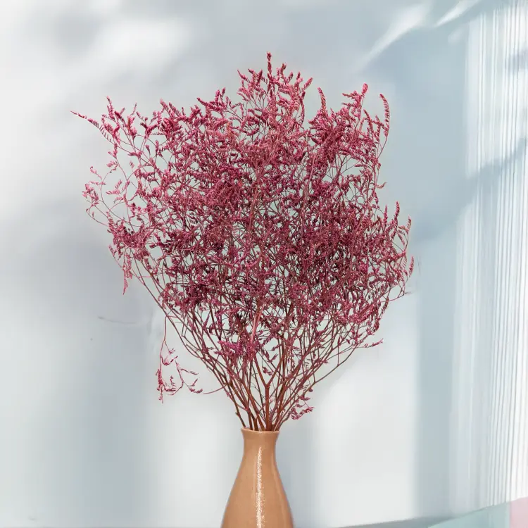 Statice Marine Vintge Pink 4.png