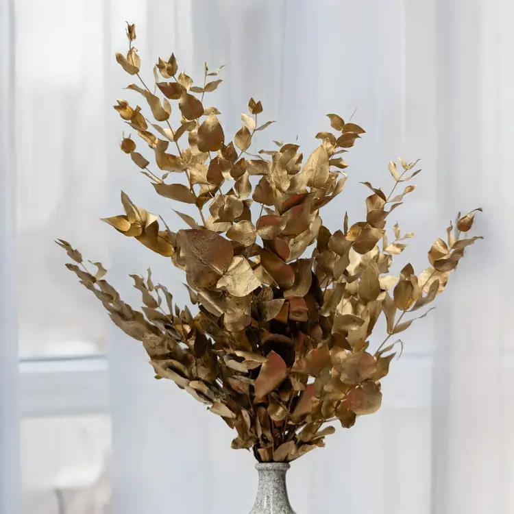 Cinerea zlota IT 4.png