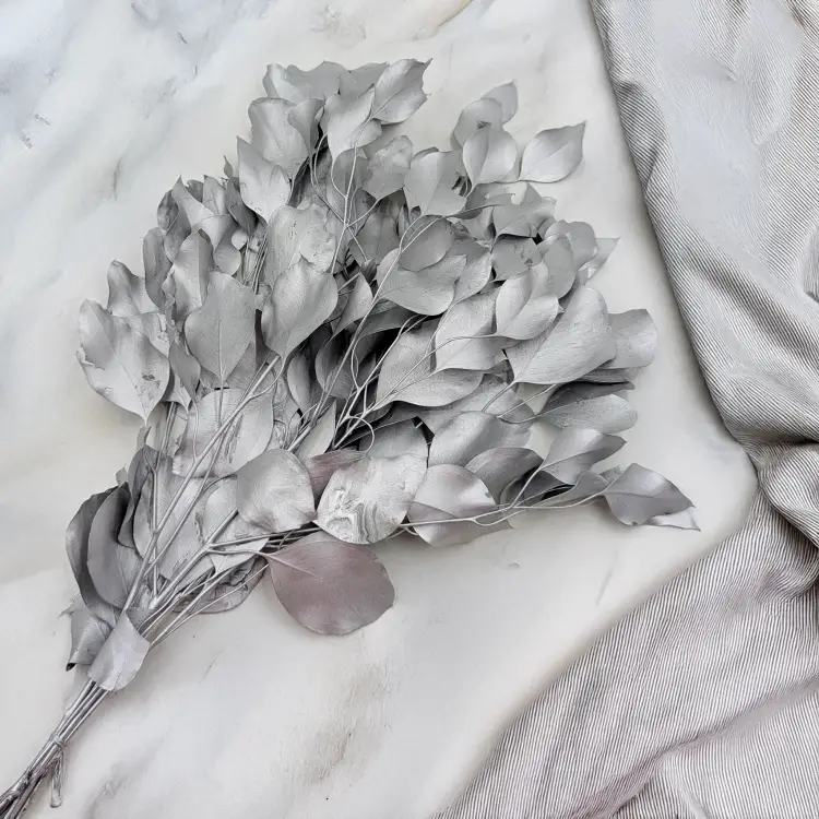 Populus silver IT 2.png