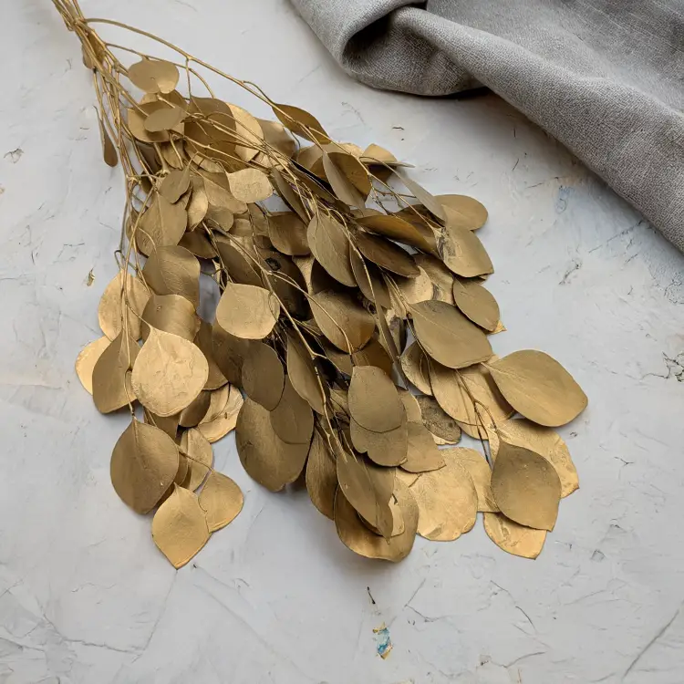 Populus gold it 2.png