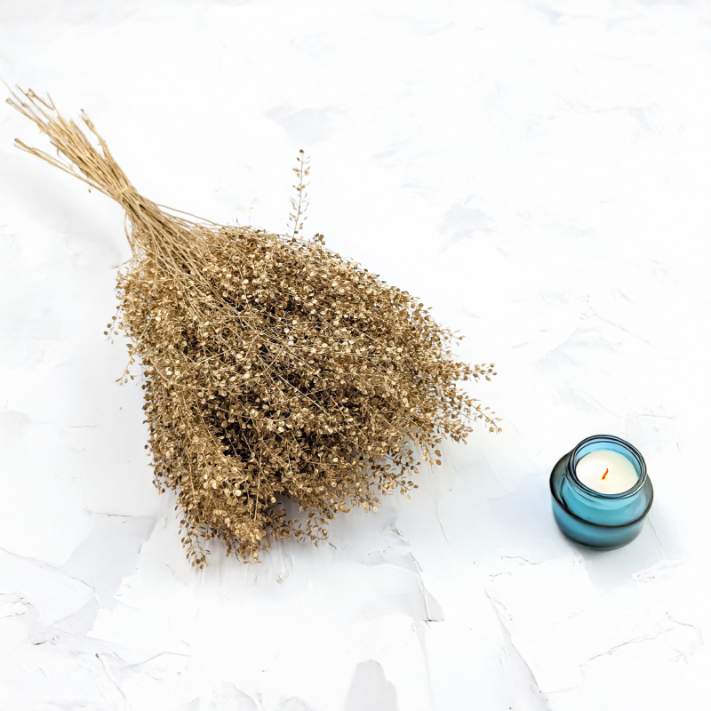 Lepidium suszone dried Gold złote 5.png