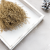 Lepidium suszone dried Gold złote 3.png