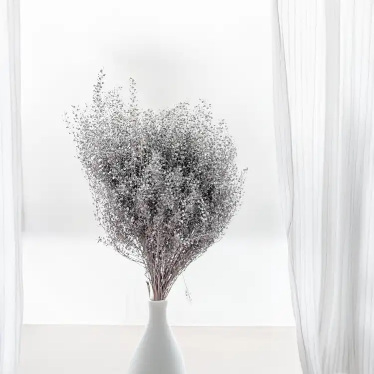 Lepidium Silver srebrne IT 2.png