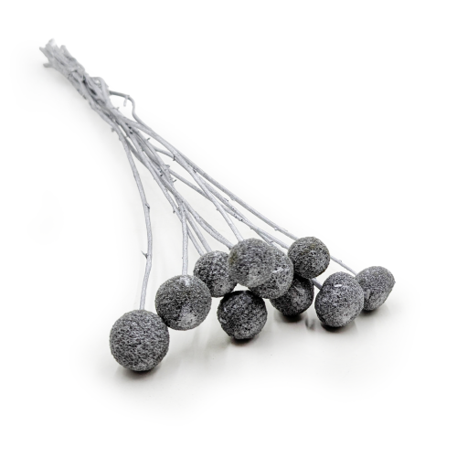 Craspedia Srebrna IT.png