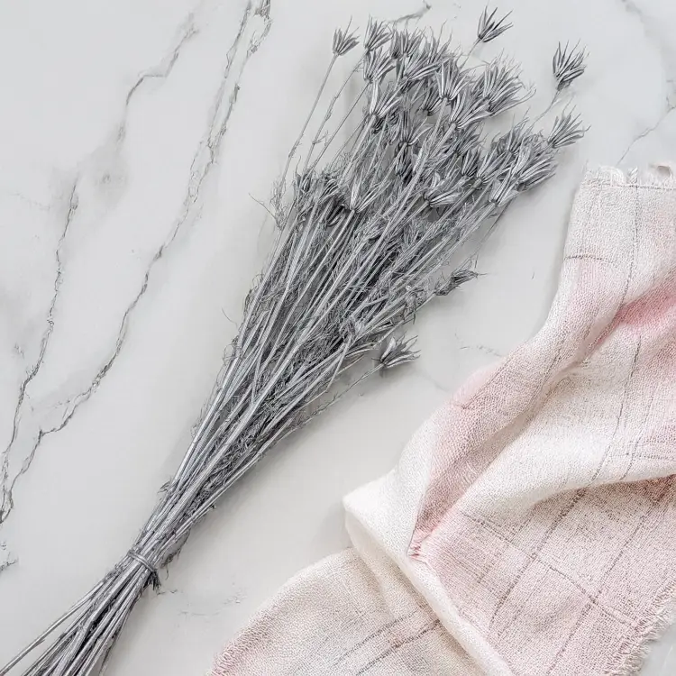 Nigella orientalis Srebrna IT 3.png