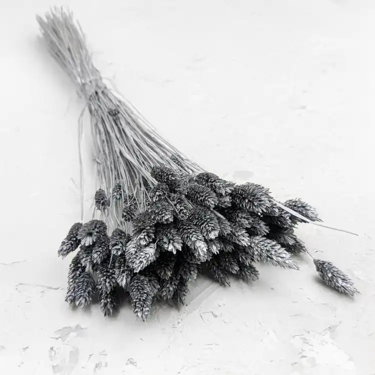 Kanar Silver IT 1.png