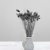 Kanar Silver IT 4.png