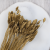 Kanar Gold IT 2.png